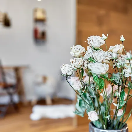 Apartman Ruze * Abertamy
